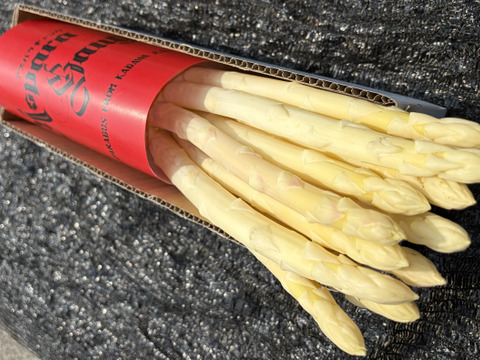 香川県産ホワイトアスパラ　2L以上サイズ1キロ「さぬきのめざめ」