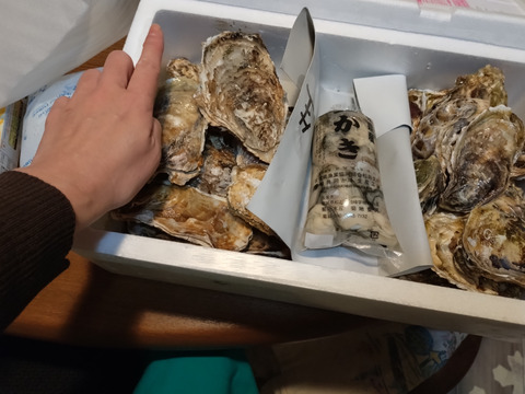 【期間限定10％値引き販売中】剥き身セット🚚2.3kg 生牡蠣🦪生食用むき身300g+殻付き牡蠣普通サイズ ２kg（目安12-32個）松島牡蠣屋 C
