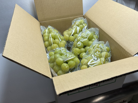 【完熟】家庭用『シャインマスカット』3kg（3~6房）