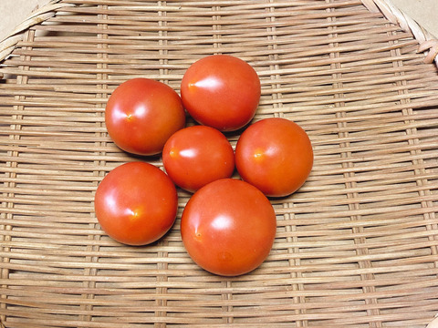 希少な自然栽培の中玉トマト【ピンク中玉】（300g）