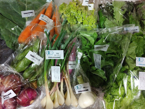 【旬を楽しむ♪】おまかせお野菜セットA（約7～10品）
通年お野菜を切らすことなく栽培しているタガタメはいつでも注文可能です☺︎
20時までのご注文で翌日発送！