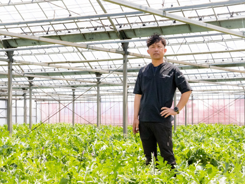 【訳あり】"おいしい水分補給"で熱中症対策『湧水きゅうり』 2kg：約15本