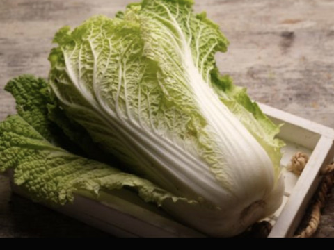 訳あり野菜セット