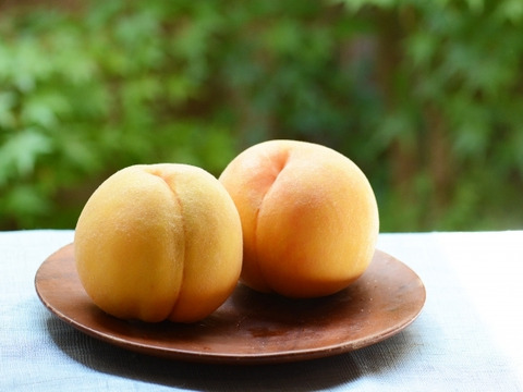 【すぐ発送！💛山梨黄金桃】約３キロ！特大～大サイズ８～１1個！一度食べたら忘れられない山梨の黄金桃をお届け！