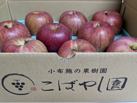 あいかの香り　長野県産りんご3kg 6〜13玉