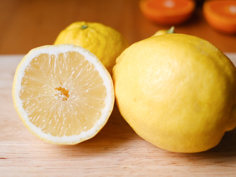 種がないレモン箱込約5㌔　1,000箱以上売れるレモン