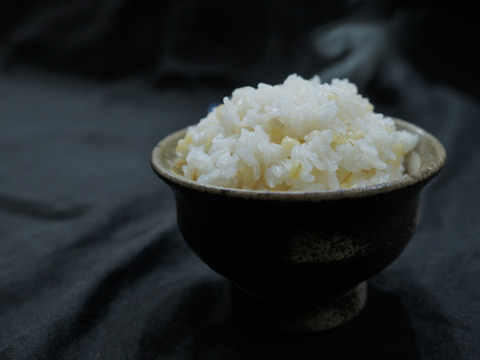 特別栽培米ヒノヒカリ精米5kg ＋もち麦1kg