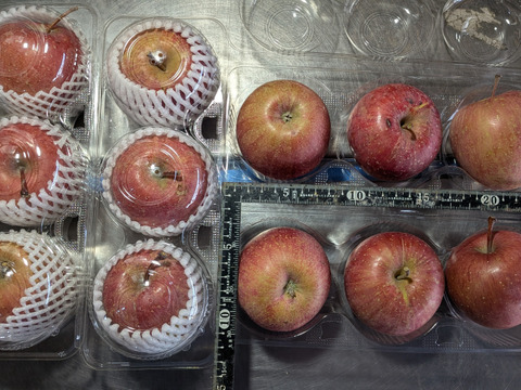 キャベツ、ダイコン、リンゴ