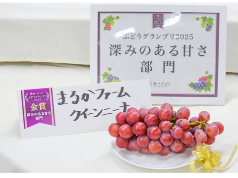 🏆食べチョクぶどうグランプリ2025金賞🏆🍇【山梨県笛吹市産】クイーンニーナ 約1.2kg🍇 ～果実の宝石、濃厚な甘みと華やかな香り～贈答　ギフト　家庭用にも
