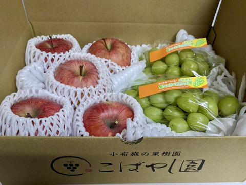 長野県産シャイン・サンふじセット2.8kg