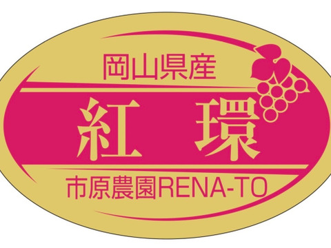岡山県産✨種なし皮ごと✨紅環🍇そのまま食べやすく加工にもしやすい🎶粒入1.5kg以上