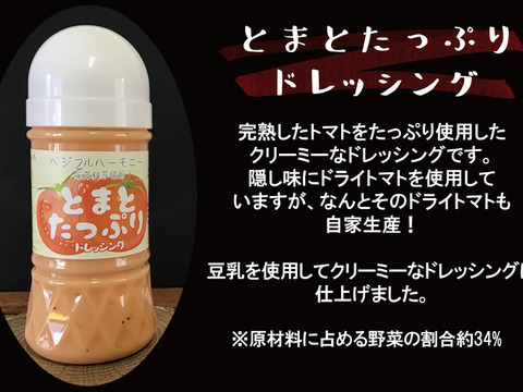 【保存料不使用】手作りドレッシング3本セット