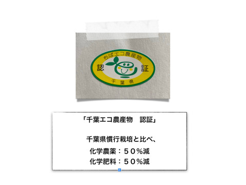 15％値引き中『40代目〜太郎左衛門』　特選：玄米コシヒカリ3kg