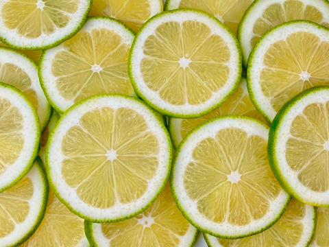 【レモン島からお届け】グリーンレモン贈答用6kg◎ワックス•防腐剤•防カビ剤不使用