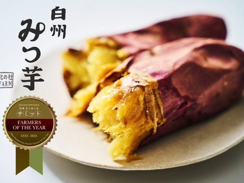 【6月5日発送】日本さつまいもサミット Farmers of the year2022-2023に選定、2年連続野菜ソムリエサミット金賞受賞！白州みつ芋の焼き芋セット（約5袋入り）