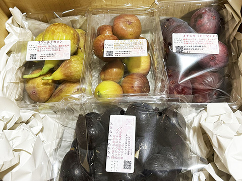 熟して甘い！岡山県産イチジク（約1.5kg、4パック）