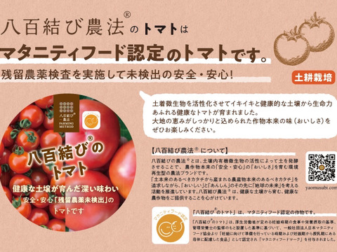 美味さの秘訣は【土耕栽培】にあり！　まーくんトマト　秀優品　八百結び農法　大玉トマト