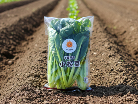 【有機JAS】えぐみが少なく希少！ ちぢみ小松菜 4袋（約1kg）