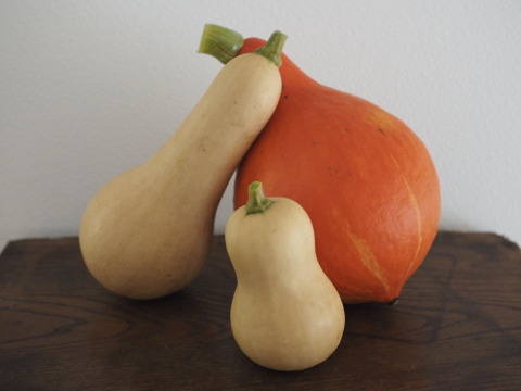 【限定3セット】フランス人パパ溺愛！自然農かぼちゃセット約3キロ