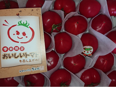 【フルーツトマトファンに】トマトハウス夢風船の高濃度フルーツトマト『おいしいトマト』（Mサイズ約２ｋｇ）