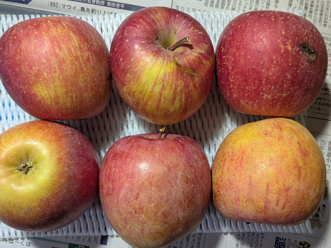 食材セット5.2kg