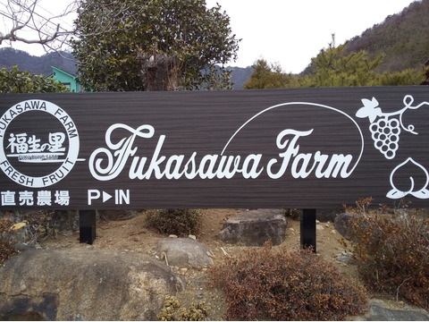 NEW★10月上旬発送特別追加（山梨県産 シャインマスカット 約1.6㎏）