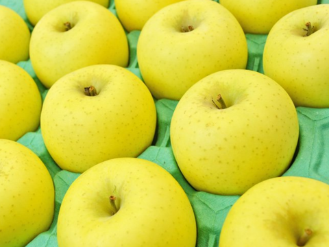 信州りんご🍎４キロパック詰め