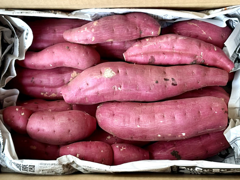 訳ありでも甘くねっとり！「紅はるか」色々なサイズ入り  5キロ箱