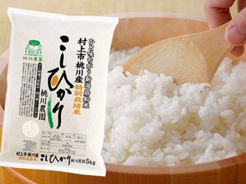 令和2年産新潟県岩船米特別栽培コシヒカリ10kg（5kg×2）