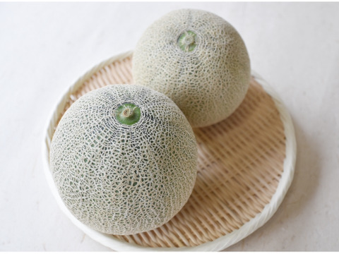 青肉と赤肉のメロン食べ比べセット