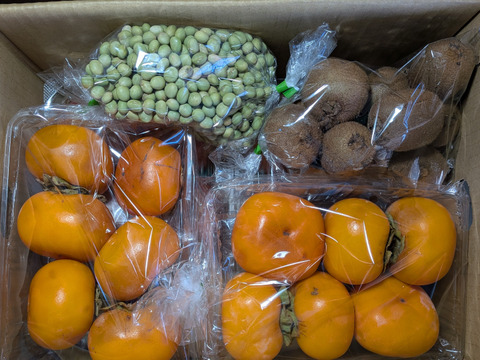 青豆、ダイコン、キウイ、柿、リンゴ