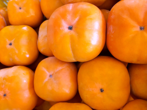 シャキシャキ食感！豊橋特産次郎柿(大玉１２個)家庭用 数量限定