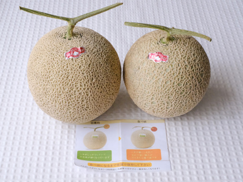 2玉 LLサイズ（1.5kg以上）沖縄産アールスメロン（赤肉）