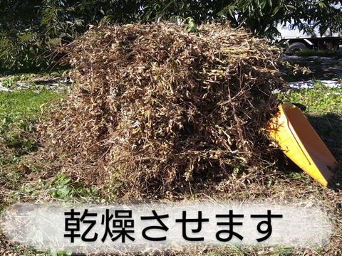 自然栽培大豆１キロ　化学肥料不使用、動物由来肥料不使用、農薬除草剤不使用でも、美味しい大豆を育てたいと研究中です。厳しい暑さの中でも、収穫量はわずかですが、土の中の微生物の力を借りて育ちました。