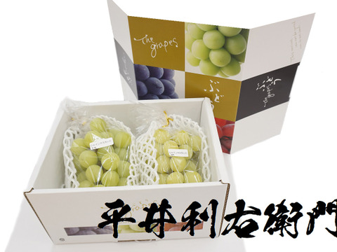 【冷蔵便】総重量800g以上！平井利右衛門の青ぶどう(シャインマスカット/2房)