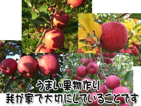 りんごの王様　『サンふじ』　特秀
（3キロ　化粧詰め）