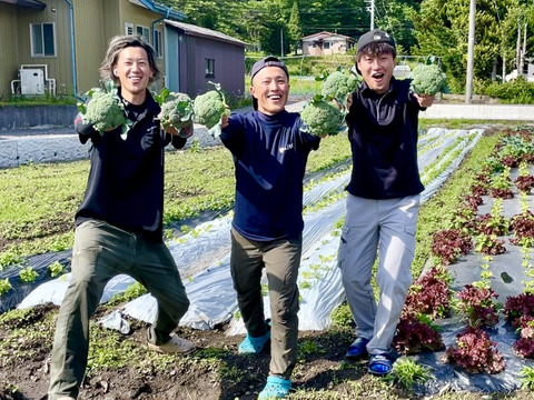 【プリップリ】信州高原ブロッコリー（７玉）　※朝ドレ直送