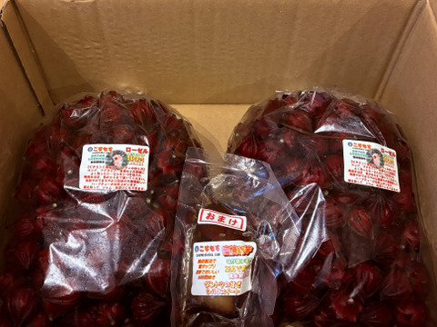 豆乳で育ったローゼル　1袋1kg　5袋まで同梱可能