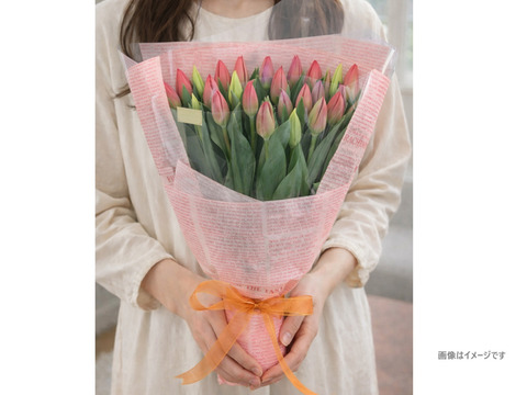 ラッピングチューリップ　20本束（花色おまかせ）　　※北海道・沖縄県配送不可※