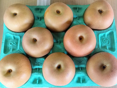 あきづき  3kg　4Lサイズ(8玉入り)