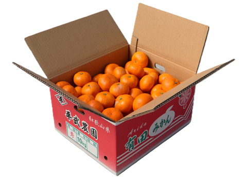 【冬ギフト】農家直送！完熟有田みかん 訳あり10kg　～蛍飛ぶ町から旬の便り～　和歌山｜有田｜田口｜ギフト｜こだわり