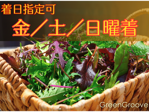 違いはわかります！G20サミット採用サラダ！10種のヨーロピアンリーフミックス【簡易包装500g×2p】★金・土・日着専用★