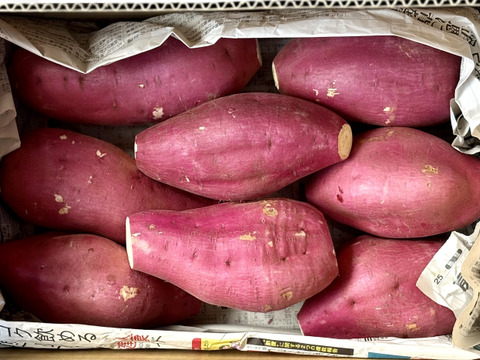 【訳あり】どすこいサイズ「ゆきこまち」  5キロ箱