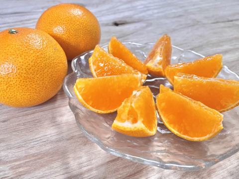 希少品種！愛媛県産『やみつきプリンセス』（ご家庭用・3kg）