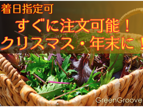 ＜すぐに発送対応！＞G20サミット採用サラダ！10種のヨーロピアンリーフミックス【簡易包装500g×1p】