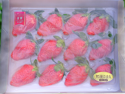 🥇いちごグランプリ2025金賞受賞！超希少品種！『肥後こまち』化粧箱 贈答用 12〜15玉