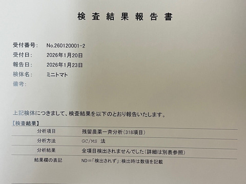 約80個のミニトマトを凝縮！極甘・完熟とまとジュース【500ml×12】