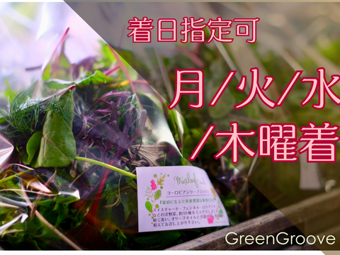 違いはわかります！G20サミット採用サラダ！10種のヨーロピアンリーフミックス【100gパック×15p】▲月・火・水・木着専用▲