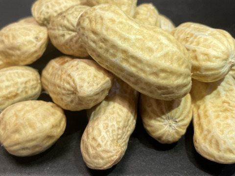 生落花生おおまさり1kg