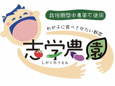 【農家直送】新鮮大根約4.5キロ
栽培期間中農薬不使用